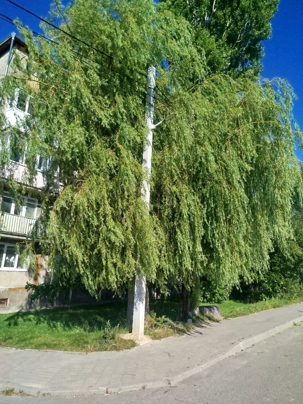 Уличное освещение